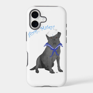Black Labrador Retriever Sailor