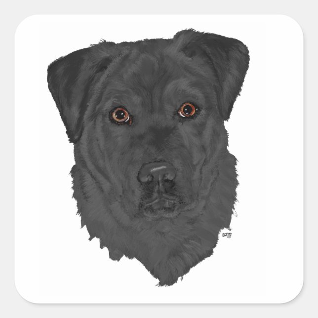 Black Labrador Retriever Square Sticker (Front)
