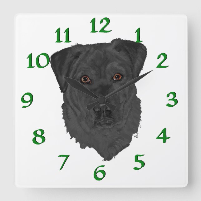 Black Labrador Retriever Square Wall Clock (Front)