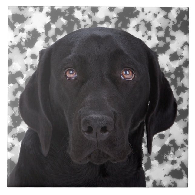 Black Labrador Retriever Tile (Front)