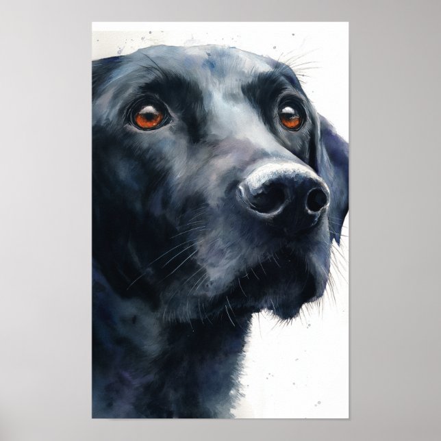 Black labrador retriever watercolor poster (Front)