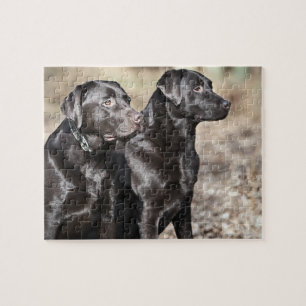 Black Labrador Retrievers Jigsaw Puzzle