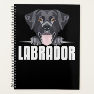 Black Labrador souriant, Lab