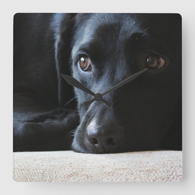 Black Labrador Square Wall Clock (Front)