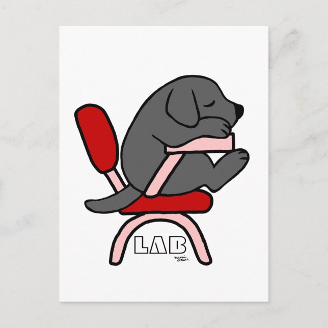 Black Labrador Student 2 Cartoon Postcard (Front)