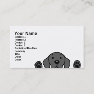 Black Labrador watching you Business Card