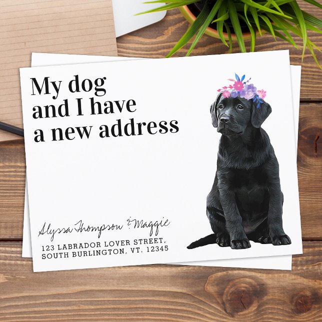 Black Labrador We've Moved New Address Dog Moving Announcement Postcard (Creator Uploaded)
