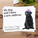 Black Labrador We've Moved New Address Dog Moving  Postcard<br><div class="desc">My Human And I Have A New Address! Let your best friend announce your move with this cute and funny pet moving announcement card. Personalize names from the dog and your new address. This black labrador dog moving announcement is a must for all labrador lovers and dog lovers. COPYRIGHT ©...</div>