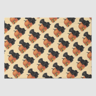 Black Labrador With Autumn Leaves and Pumpkin Tissue Paper