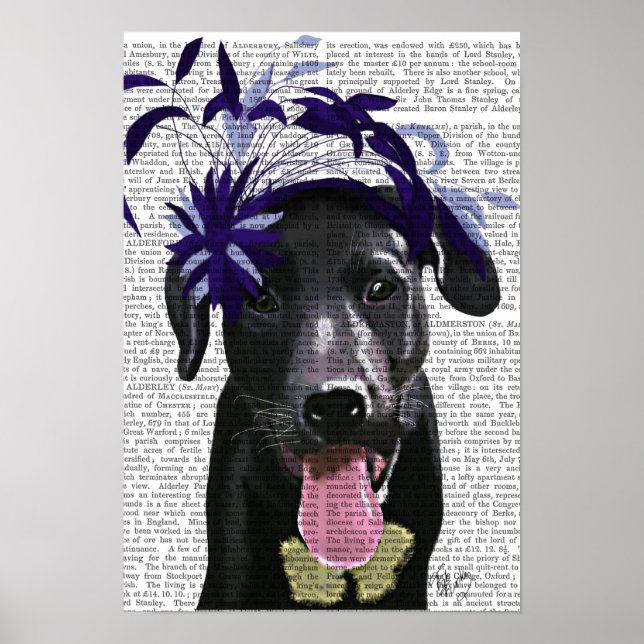 Black Labrador With Blue Fascinator Poster (Front)