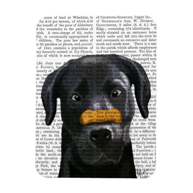 Black Labrador With Bone on Nose Magnet (Vertical)