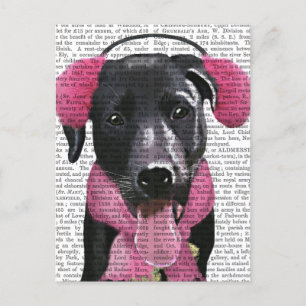 Black Labrador With Ear Muffs Postcard