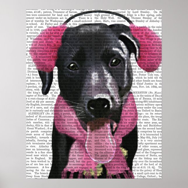 Black Labrador With Ear Muffs Poster (Front)
