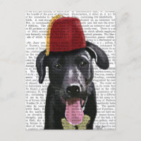 Black Labrador With Fez