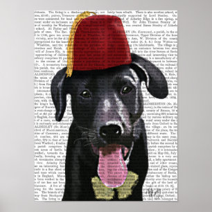 Black Labrador With Fez Poster