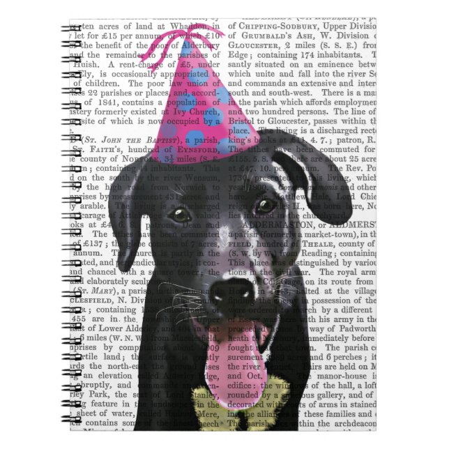 Black Labrador With Party Hat Notebook (Front)