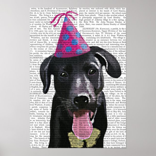 Black Labrador With Party Hat Poster (Front)