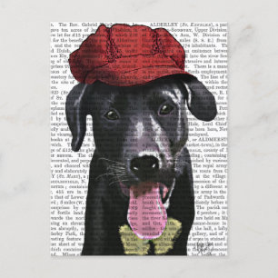 Black Labrador With Red Cap Postcard