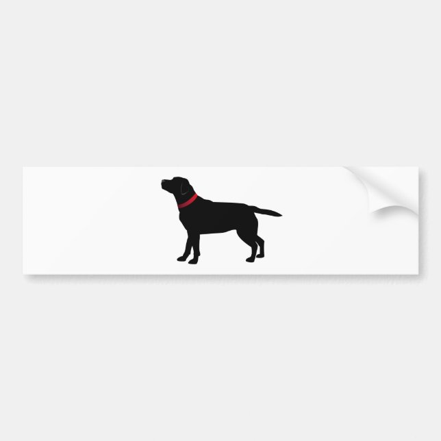 Black Labrador with Red Collar Bumper Sticker (Front)