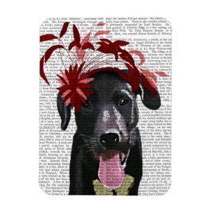 Black Labrador With Red Fascinator Magnet