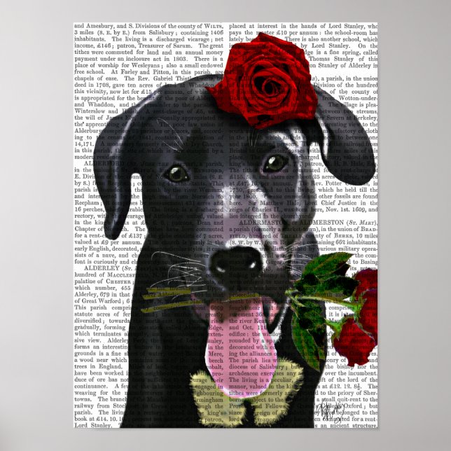 Black Labrador with Roses Poster (Front)