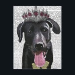 Black Labrador With Tiara Postcard<br><div class="desc">Pets</div>