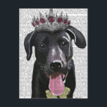 Black Labrador With Tiara Postcard<br><div class="desc">Pets</div>