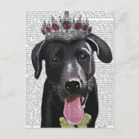 Black Labrador With Tiara