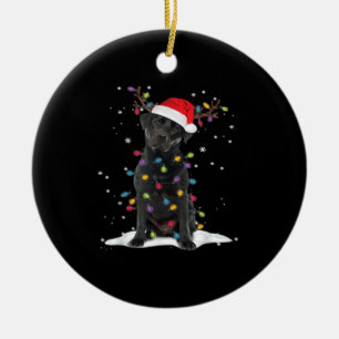 Black Labrador Xmas Dog Christmas Tree Light Class Ceramic Ornament