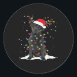 Black Labrador Xmas Dog Christmas Tree Light Class Classic Round Sticker<br><div class="desc">Black Labrador Xmas Dog Christmas Tree Light Classic T-Shirt</div>