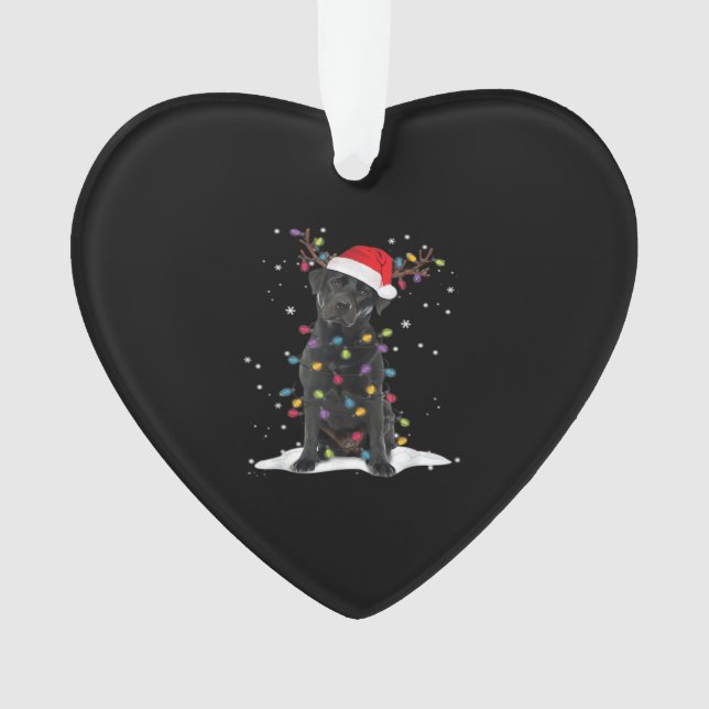 Black Labrador Xmas Dog Christmas Tree Light Class Ornament (Front)