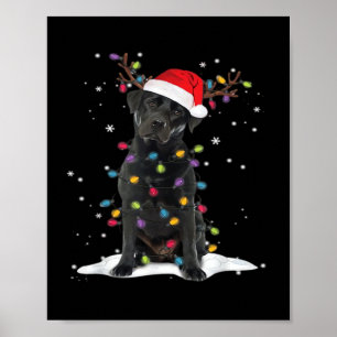 Black Labrador Xmas Dog Christmas Tree Light Class Poster