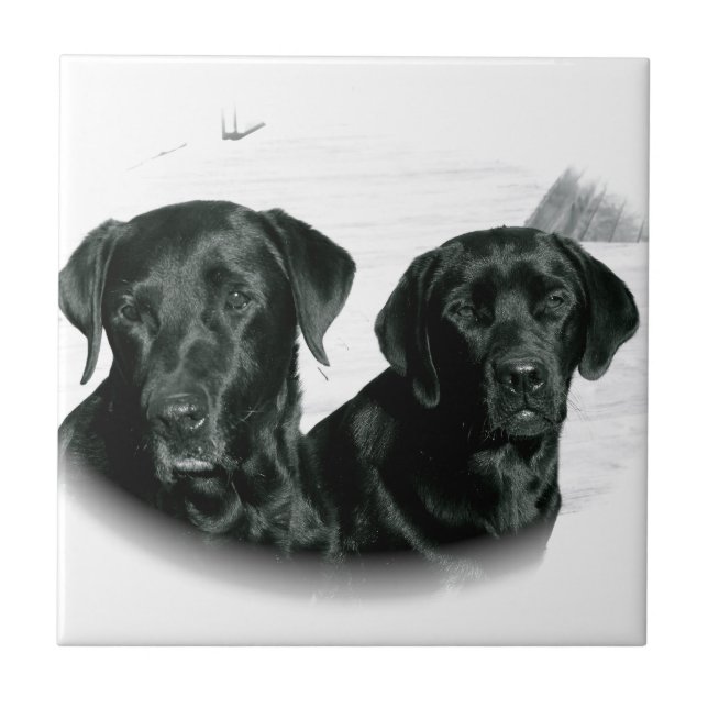 Black Labs Tile (Front)
