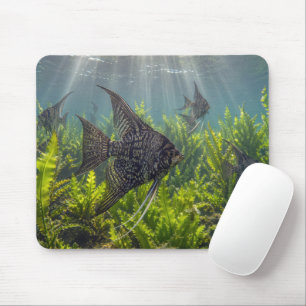 Black Lace Angelfish in Seaweed Mouse Pad