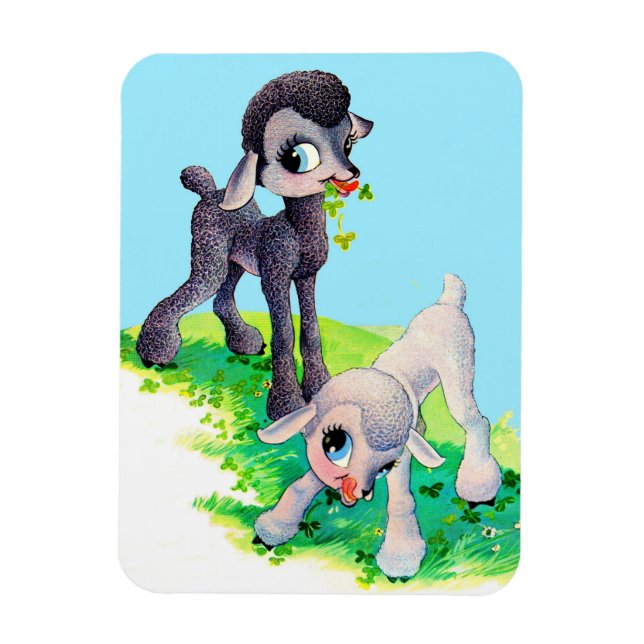 black lamb white lamb magnet (Vertical)