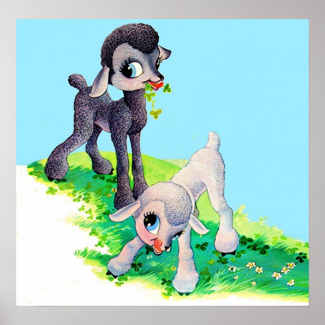 black lamb white lamb poster (Front)