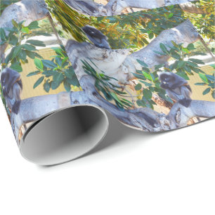 Black Langur Monkeys Eating, Gift Wrap