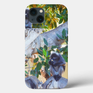 Black Langur Monkeys Eating, iPhone 13 Case
