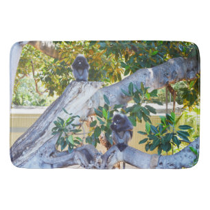 Black Langur Monkeys Eating, Memory Foam Bathmat