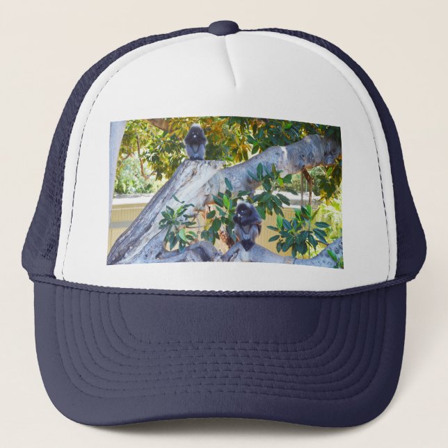 Black Langur Monkeys Eating, Truckers Hat (Front)