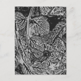 Black leaves postcard