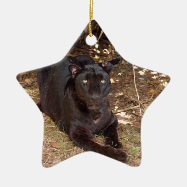 Black Leopard Christmas Ornament (Front)