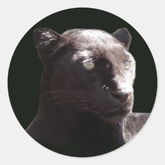 Black Leopard Portrait Classic Round Sticker