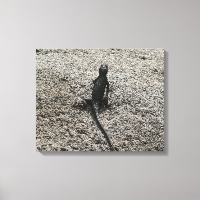 Black Lizard Canvas Print (Front)