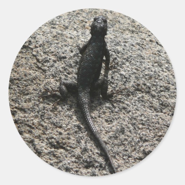 Black Lizard Classic Round Sticker (Front)