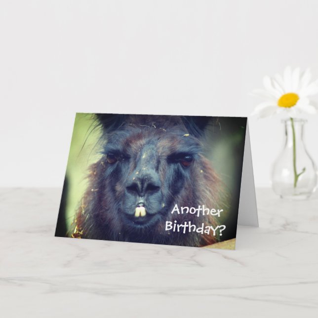 Black Llama Animal Funny Birthday  Card (Small Plant)