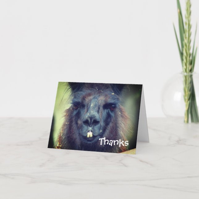 Black Llama Animal Thank You Card (Front)