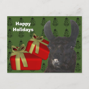 Black Llama Farm Animal Christmas Holiday Postcard