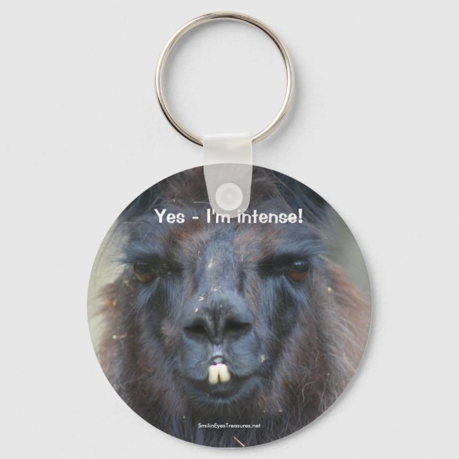 Black Llama Humourous Animal Nature Photo Keychain (Front)