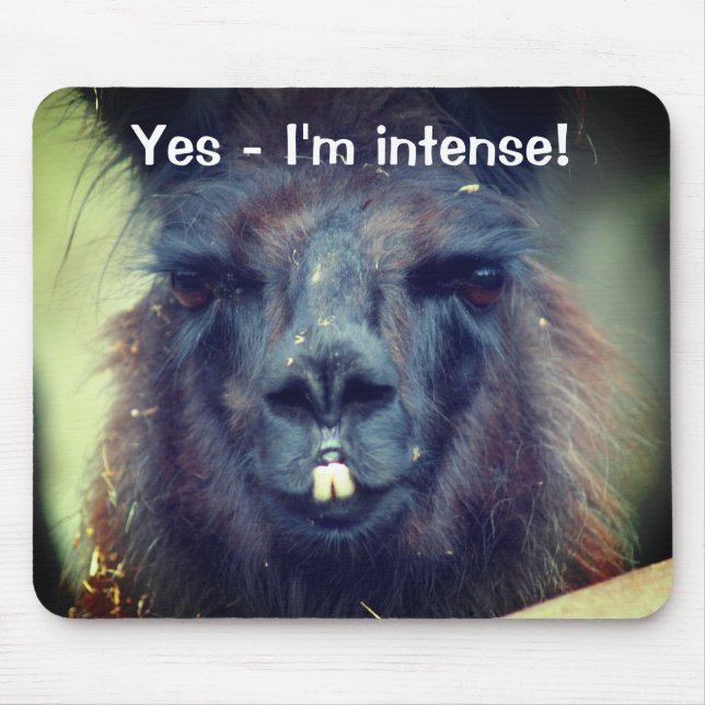 Black Llama I'm Intense Funny Animal Mouse Pad (Front)